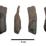 Hora Digital - Noticias de Entre Ríos y la Costa del Uruguay