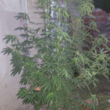 Hora Digital - Noticias de Entre Ríos y la Costa del Uruguay