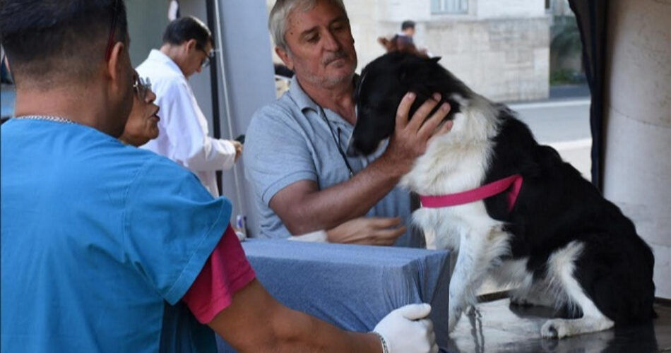 Hora Digital - Noticias de Entre Ríos y la Costa del Uruguay