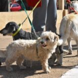 Hora Digital - Noticias de Entre Ríos y la Costa del Uruguay